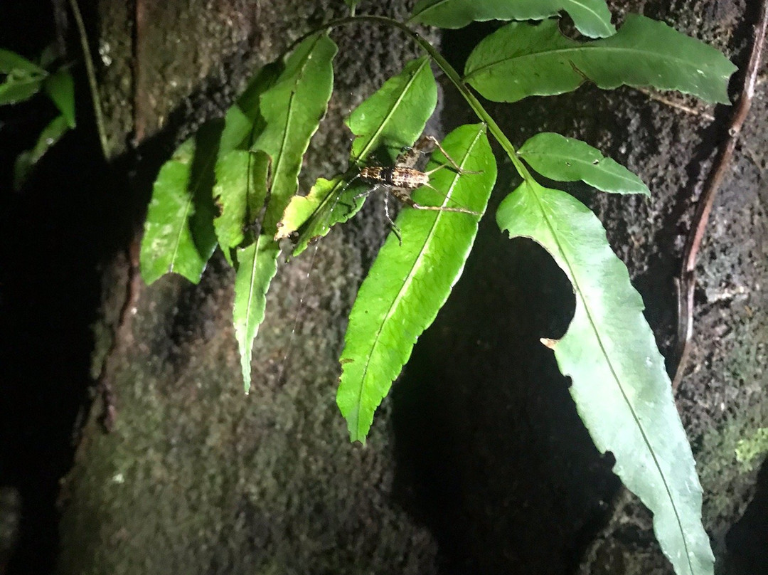 Tambopata Wild景点图片