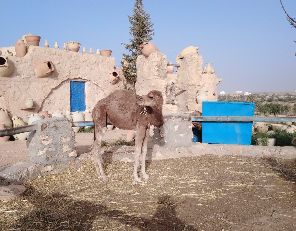 Cave of Ali Berbere-Guellala必去景点