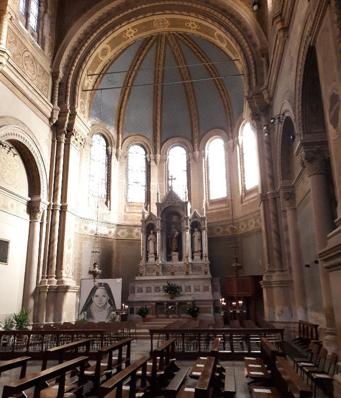 Chiesa del Santissimo Redentore (Duomo di Lonigo)景点图片