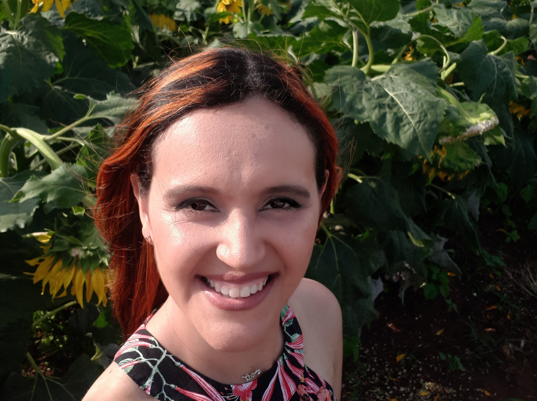 Theos Passeio Turistico-Holambra必去景点