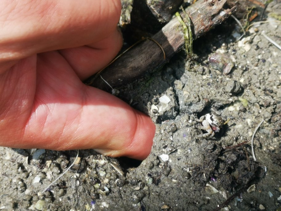 Wave Rest House & Cafe主图