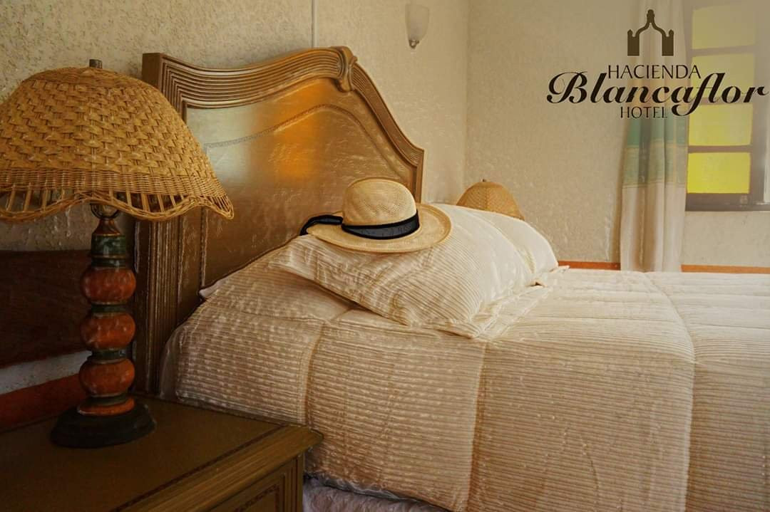 OYO Hacienda Blanca Flor主图