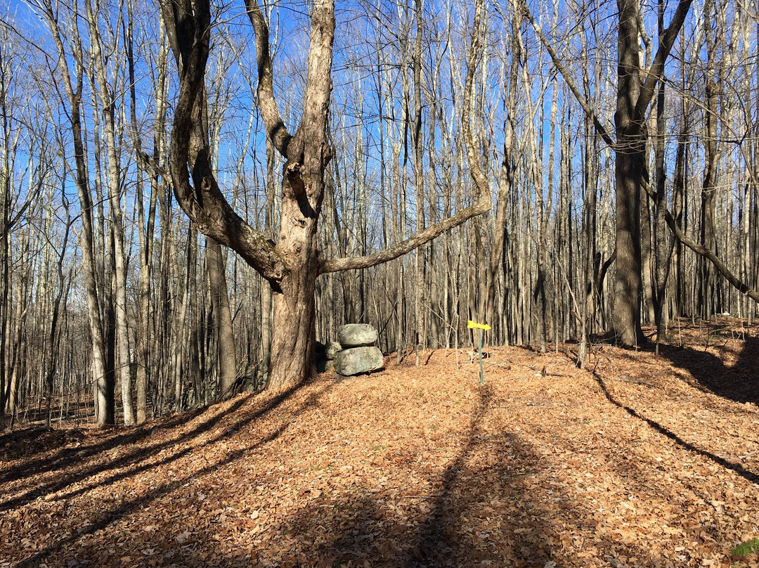 Harvard Forest-Petersham必去景点