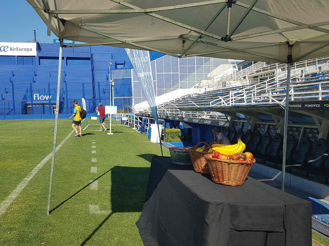 Estadio José Amalfitani景点图片