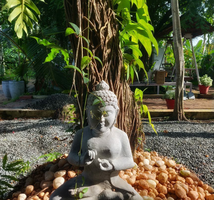 Sunsets and Palm Trees主图