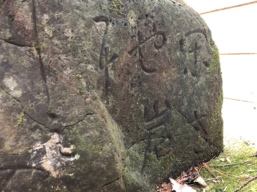 Semi no Keikoku景点图片