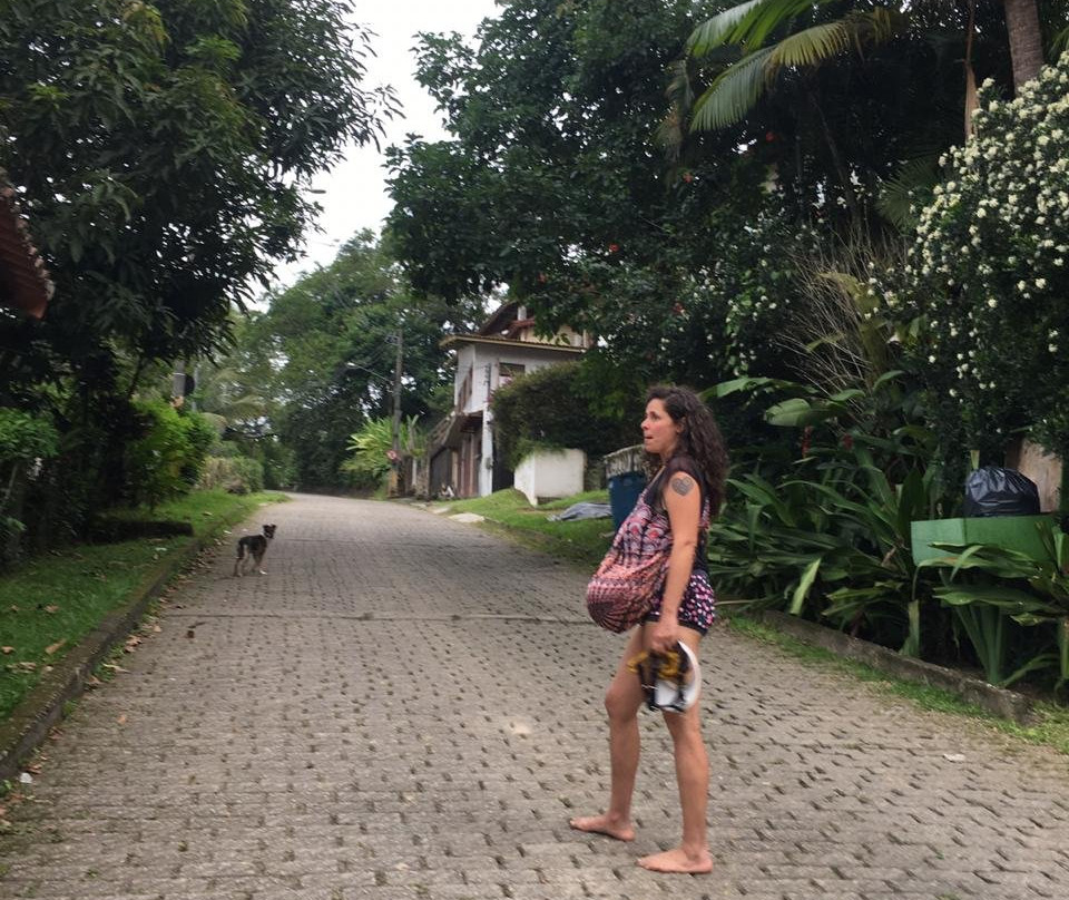 Bus Stop Paraty主图