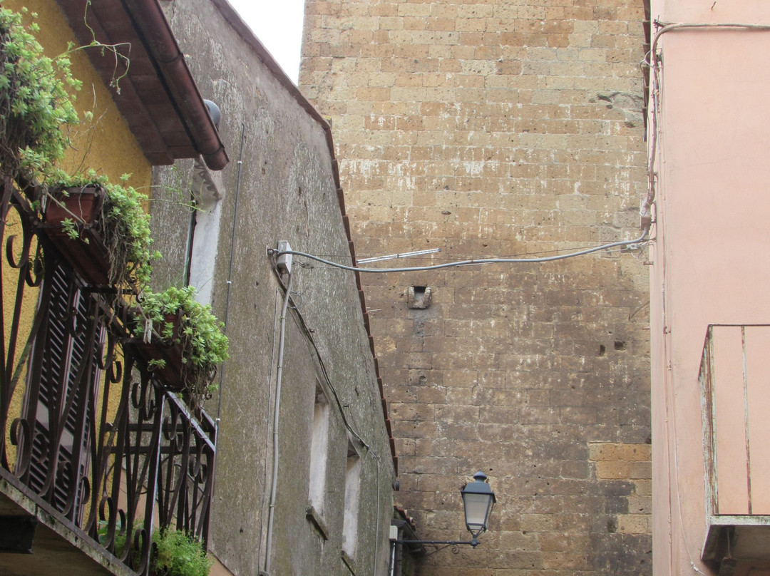 Torre Monaldeschi景点图片