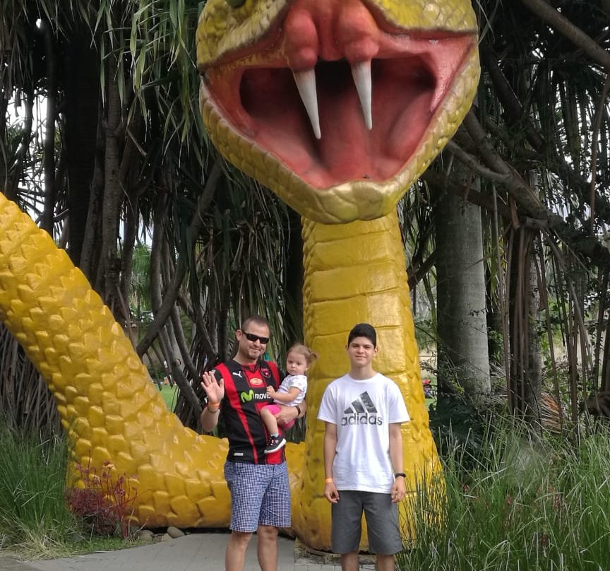Parque Diversiones景点图片