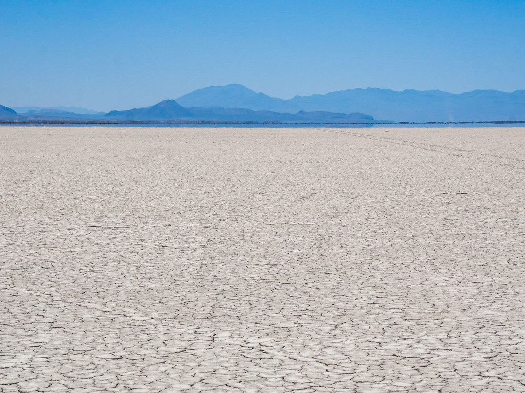 Alvord Desert景点图片