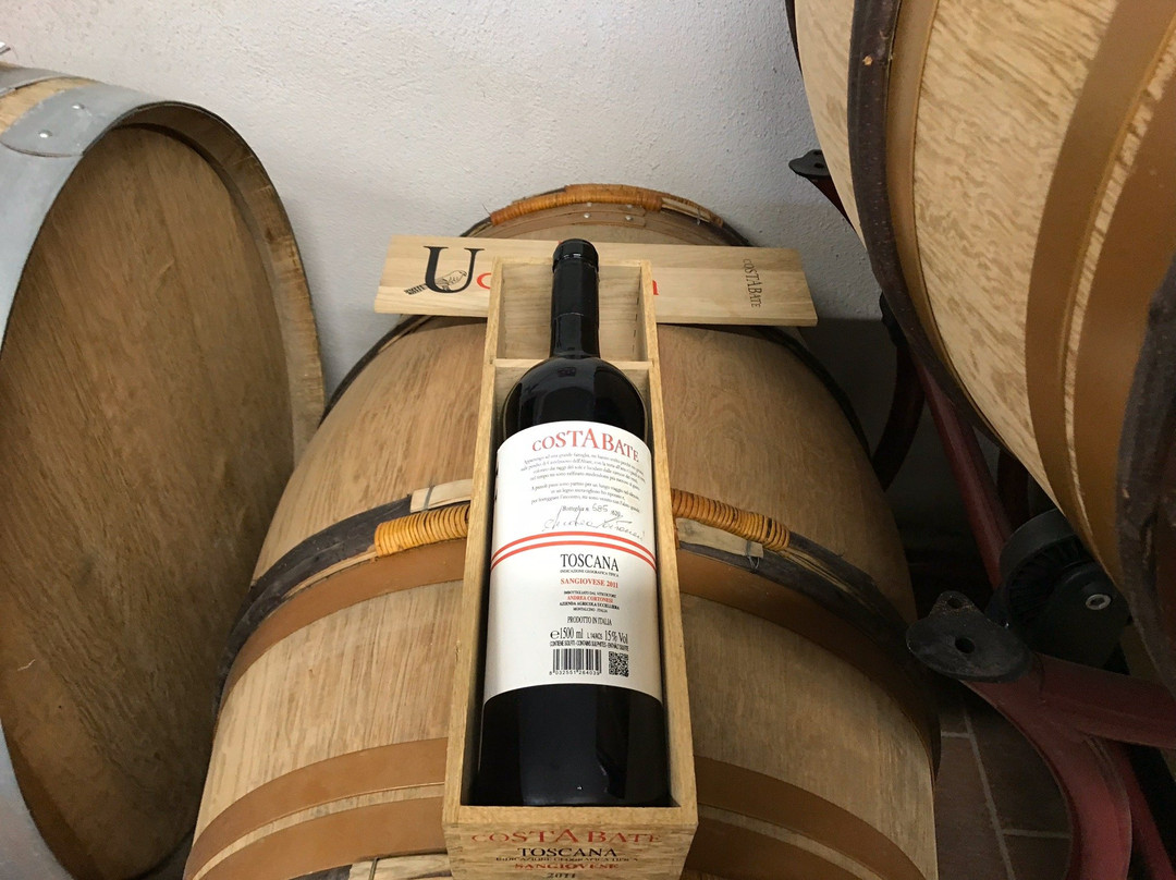 Azienda Agricola Uccelliera-蒙塔尔奇诺必去景点