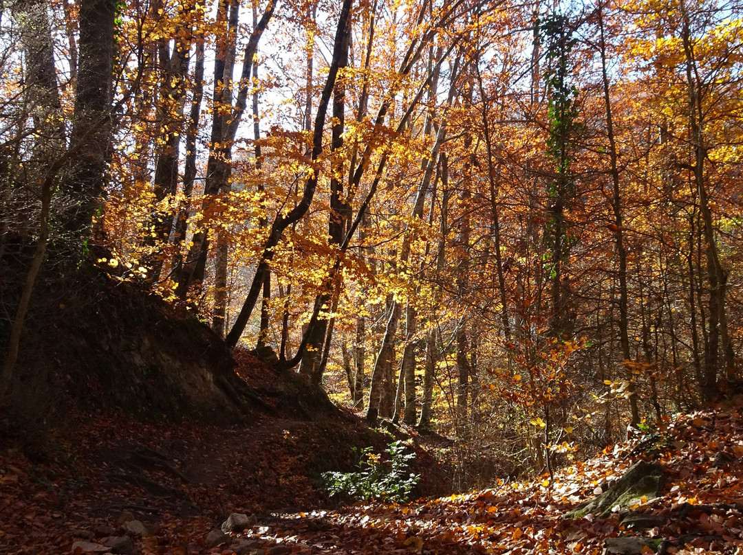 Osor旅游攻略图片