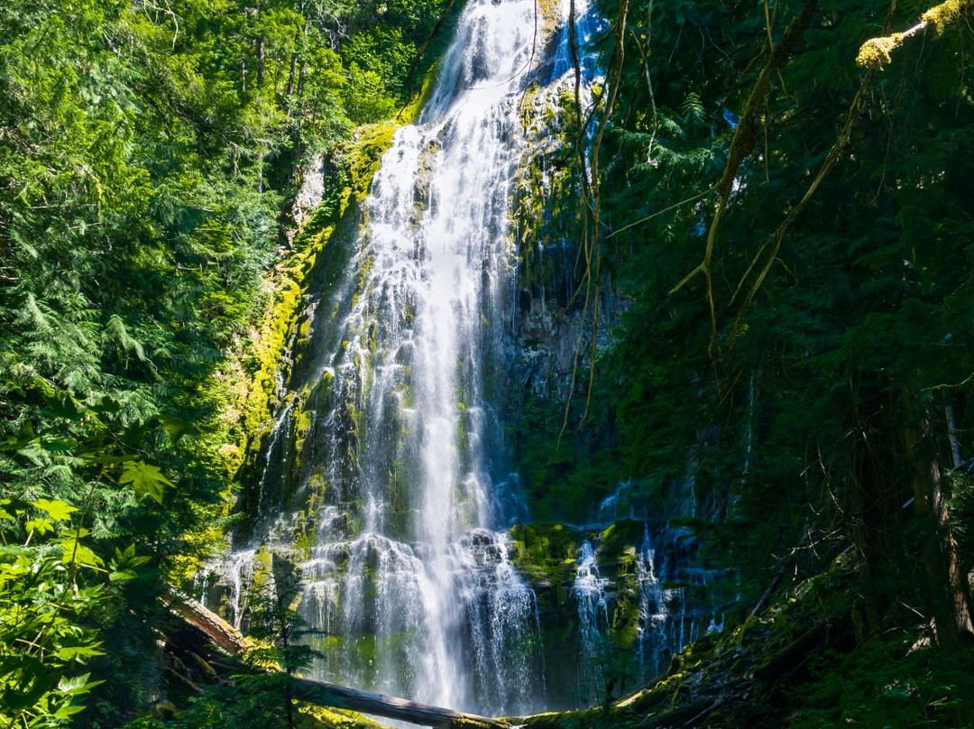Proxy Falls-Sisters必去景点