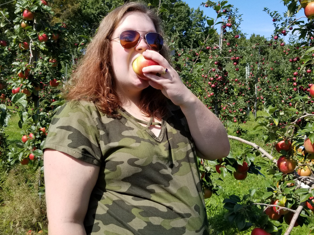 Reisinger's Apple Country-沃特金斯格伦必去景点