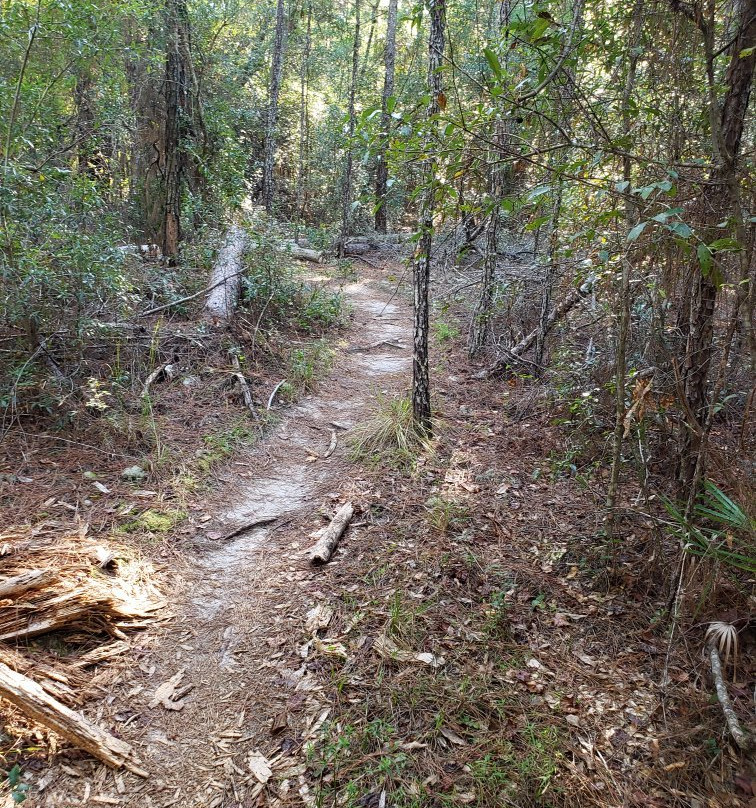 Landbridge Trailhead-奥卡拉必去景点