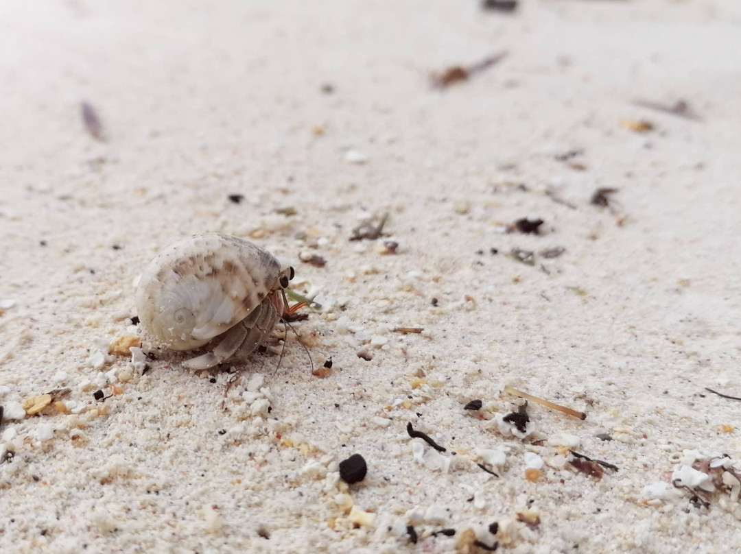 Acqua Blu Rasdhoo主图