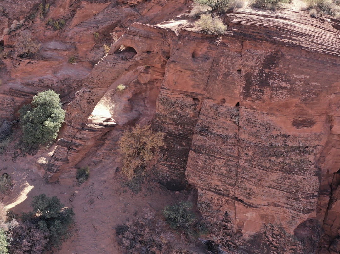 Red Cliffs National Conservation Area-圣乔治必去景点