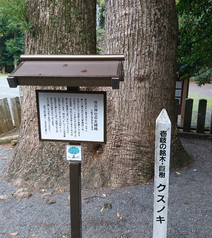 Sumiyoshi Shrine-壹岐市必去景点