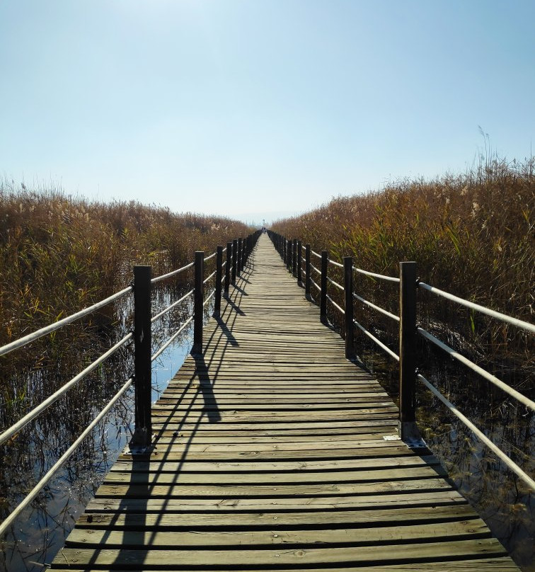 Sultansazlıgi Milli Parki-Yesilhisar必去景点