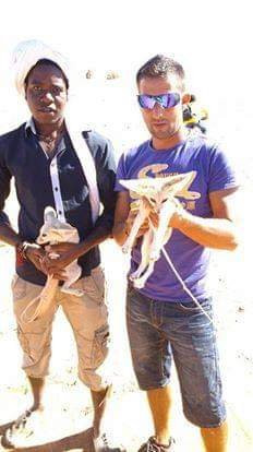 Amazing Trips in Morocco-梅如卡必去景点