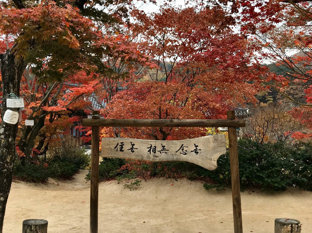 Jikjisa Temple-金泉市必去景点
