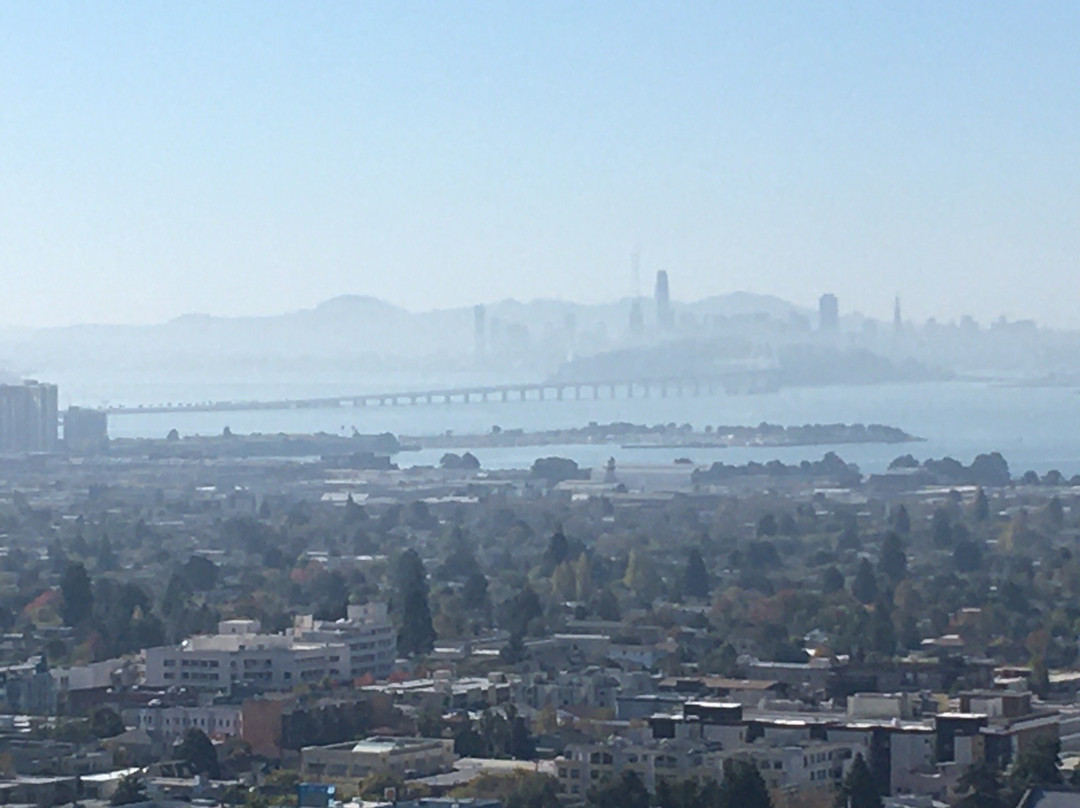 Sather Tower-伯克利必去景点