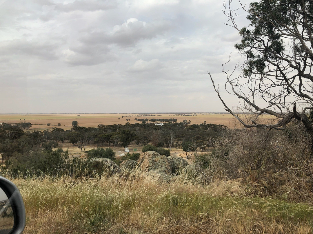 Mt Wycheproof-Wycheproof必去景点