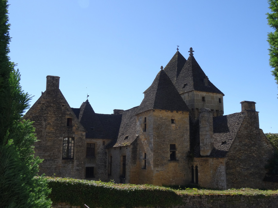 Château de Saint-Geniès景点图片