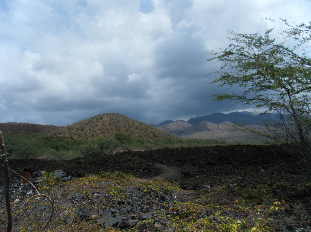 Lava Fields景点图片