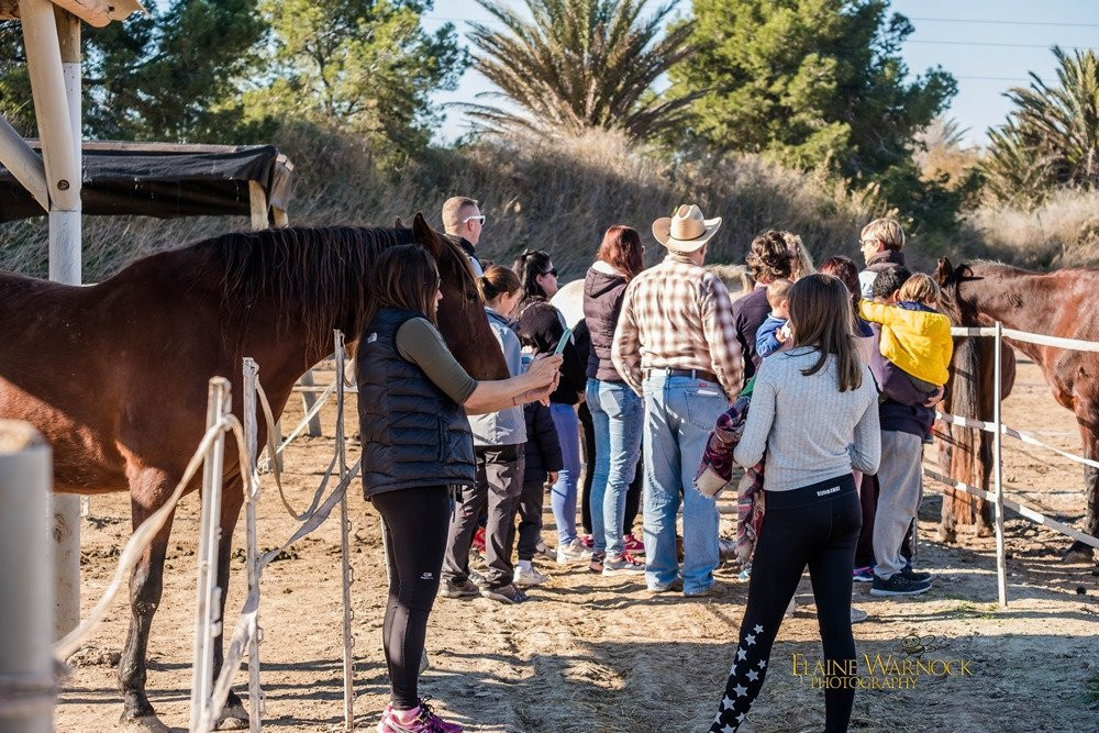 Easy Horse Care Rescue Centre景点图片