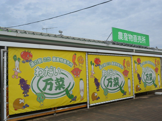 Michi-no-Eki Goka-五霞町必去景点