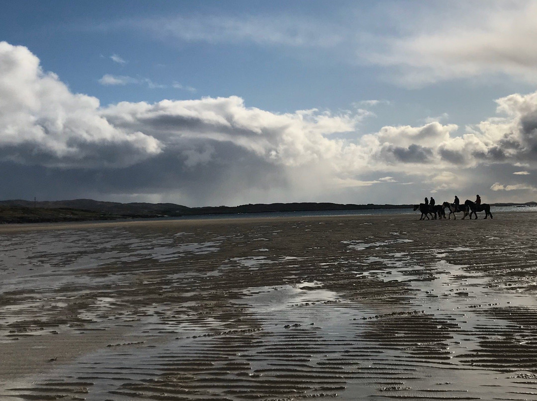 Cleggan Beach Riding Center - Horseback riding on the beach景点图片