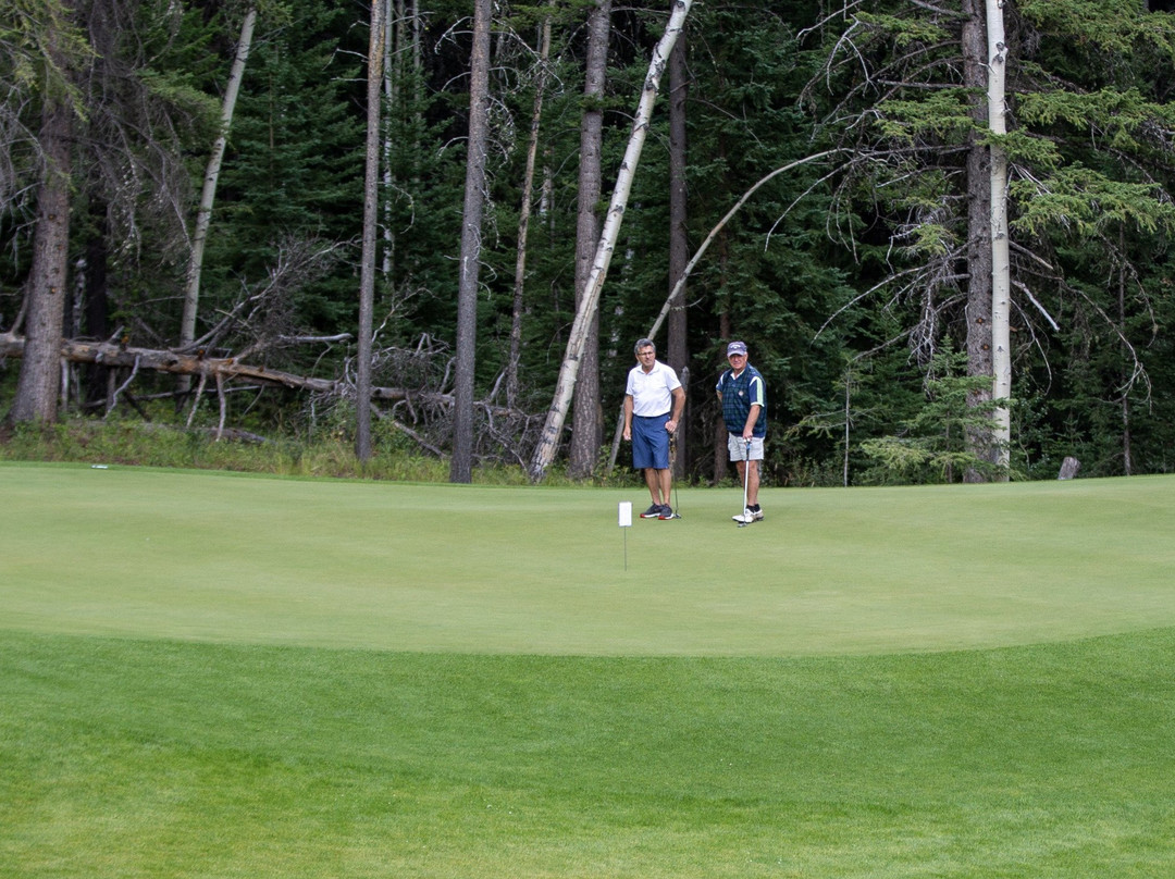 Crowsnest Pass Golf Club景点图片