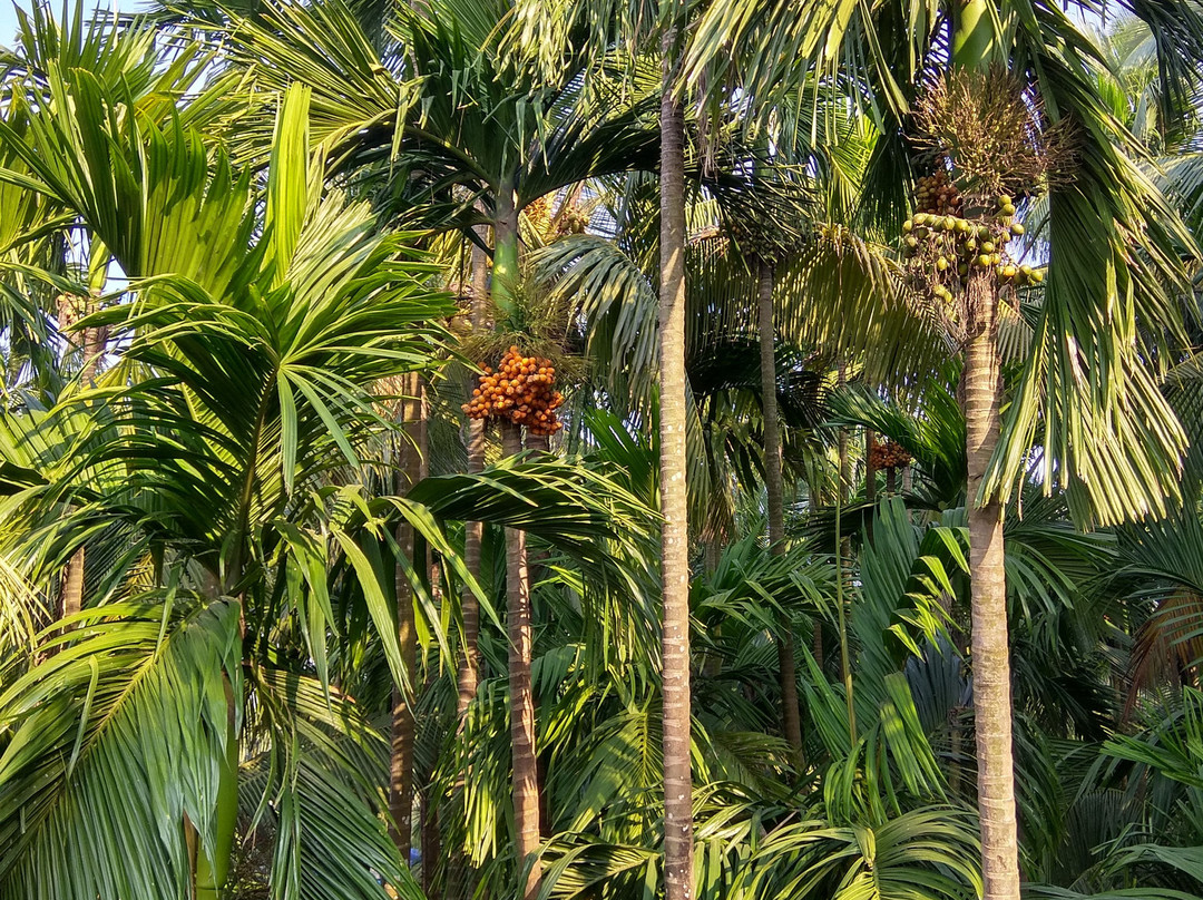 Kumarwadi Homestay主图