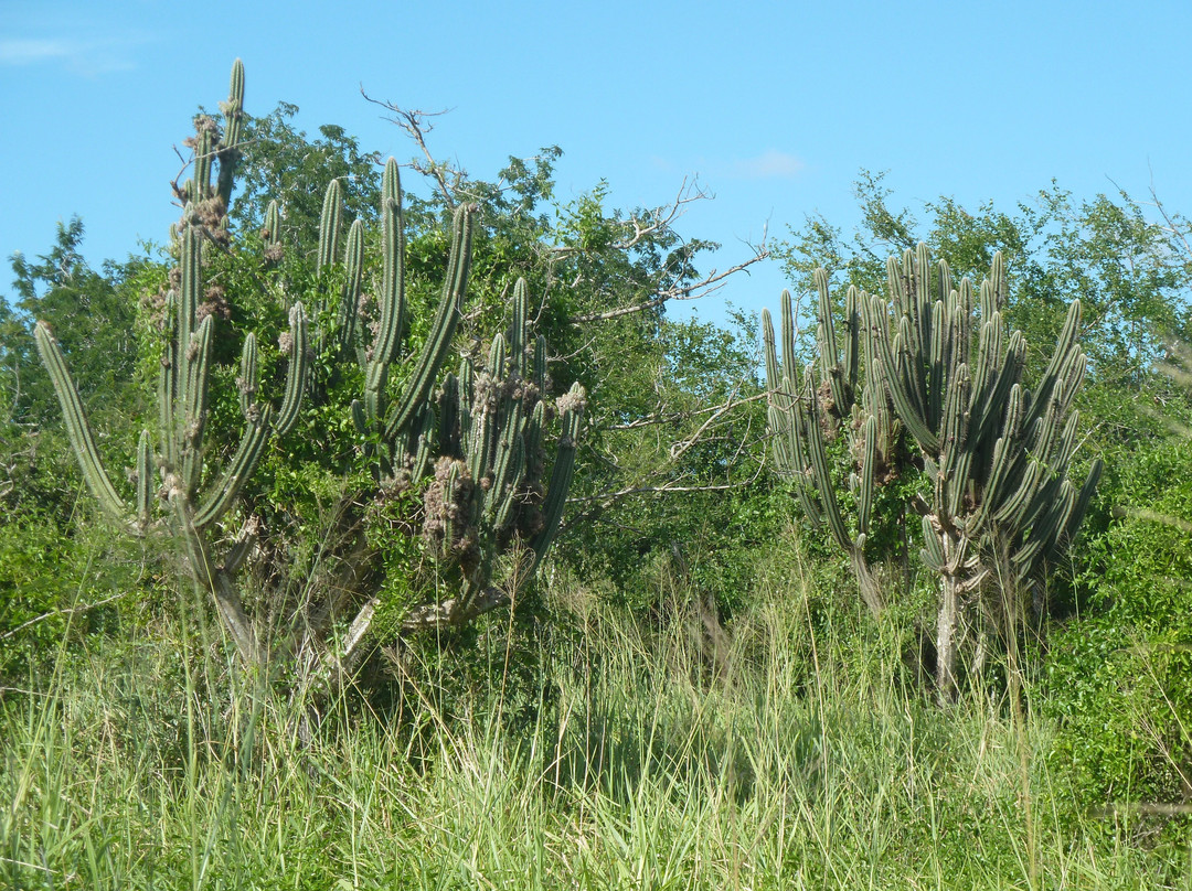 Cabo Rojo National Wildlife Refuge-Cabo Rojo必去景点