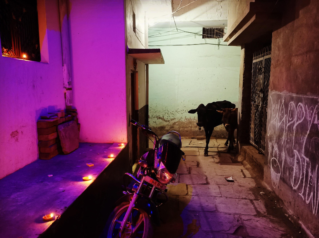 Banaras Trip & Tours-瓦拉纳西必去景点