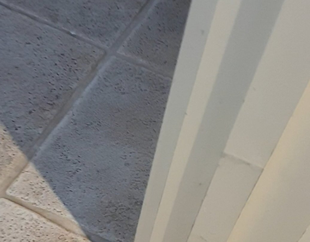 最佳西方莫宁顿布鲁克兰酒店主图