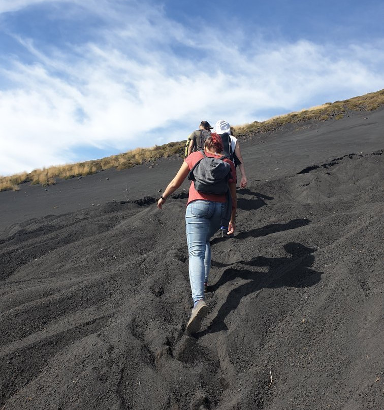 Etna Guided Tours景点图片