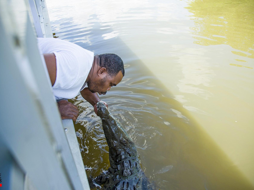 IRIELAB Tours by "Jamaica with irie"-牙买加必去景点