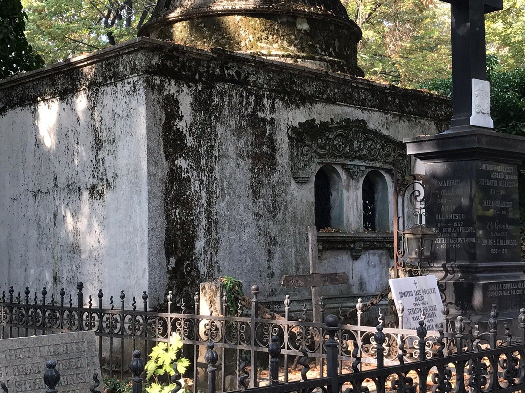 Bellu Cemetery (Cimitirul Șerban Vodă-Bellu)-布加勒斯特必去景点