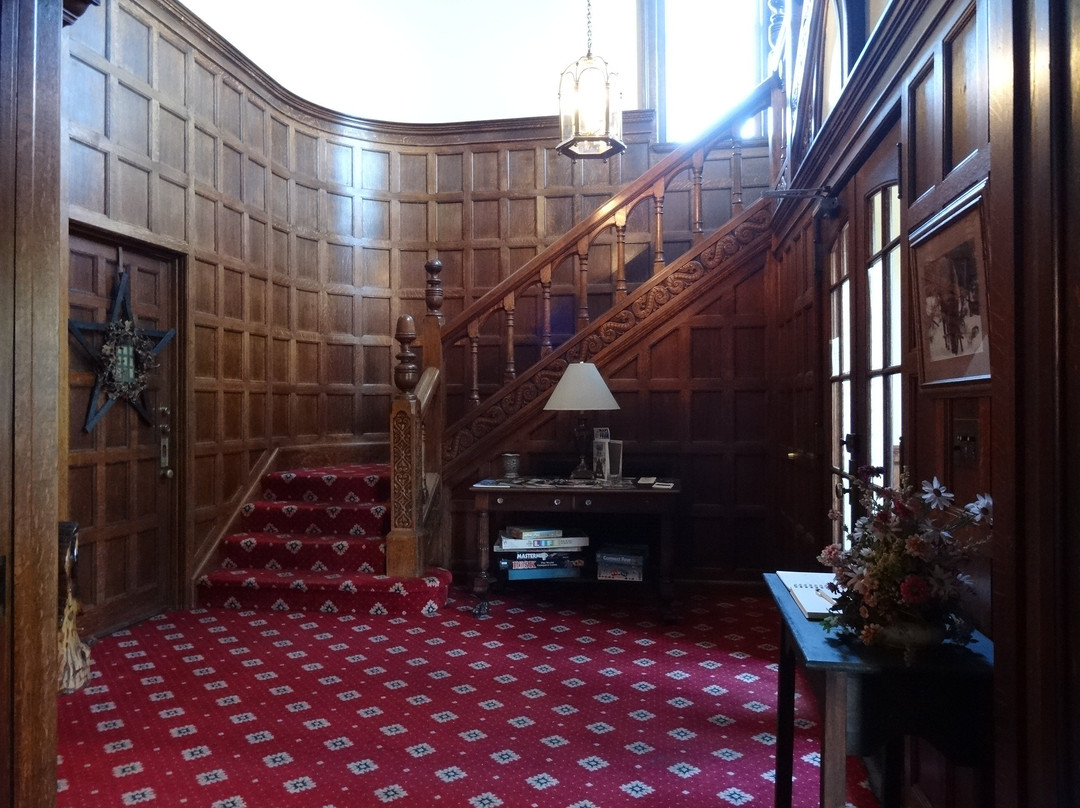 The Cozy Afghan主图