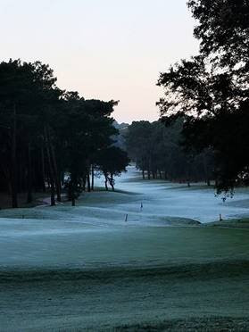 Golf de Seignosse景点图片