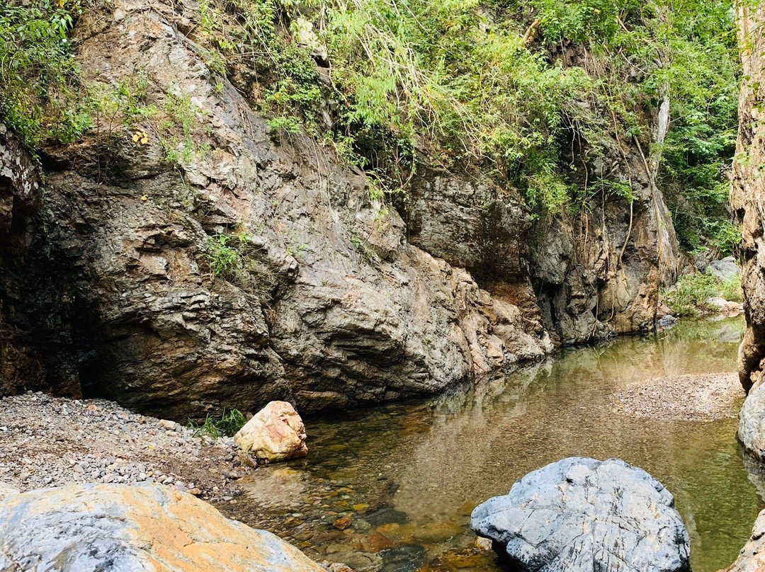 Cocodrilario La Manzanilla景点图片