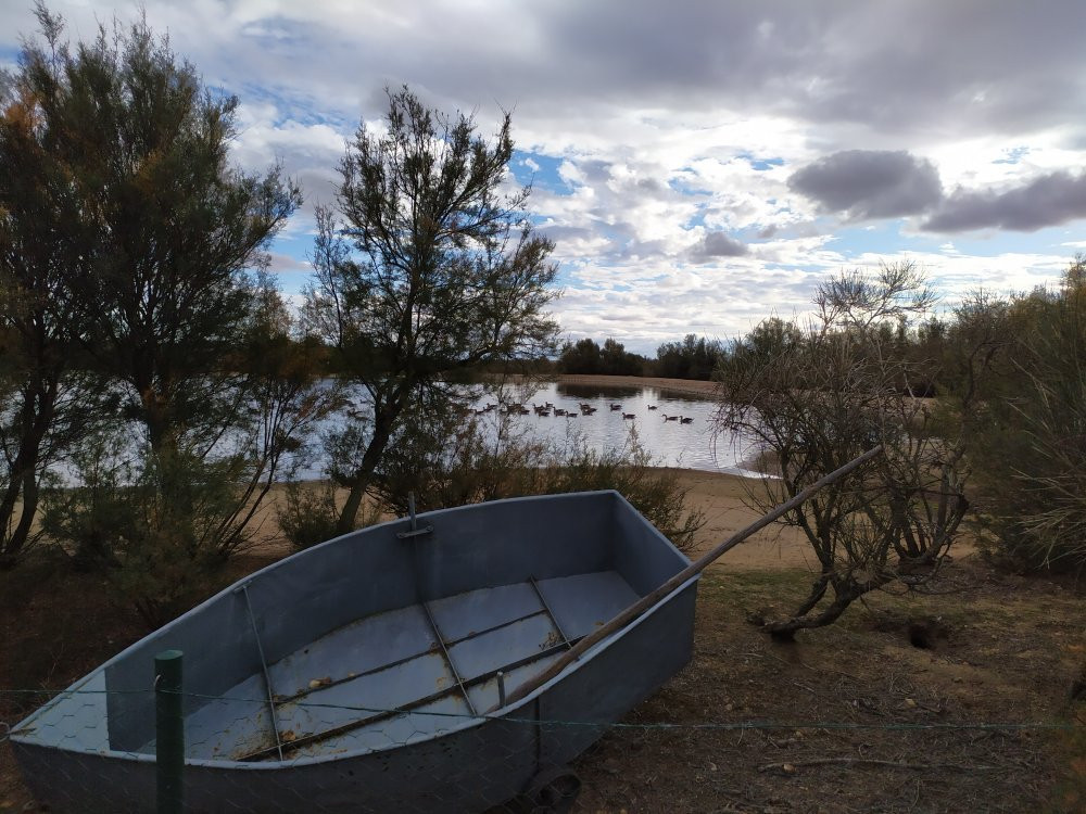 Reserva Natural de las Lagunas de Villafafila景点图片