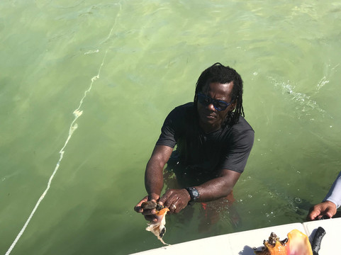 Island Dreamin' Charters-七哩滩必去景点