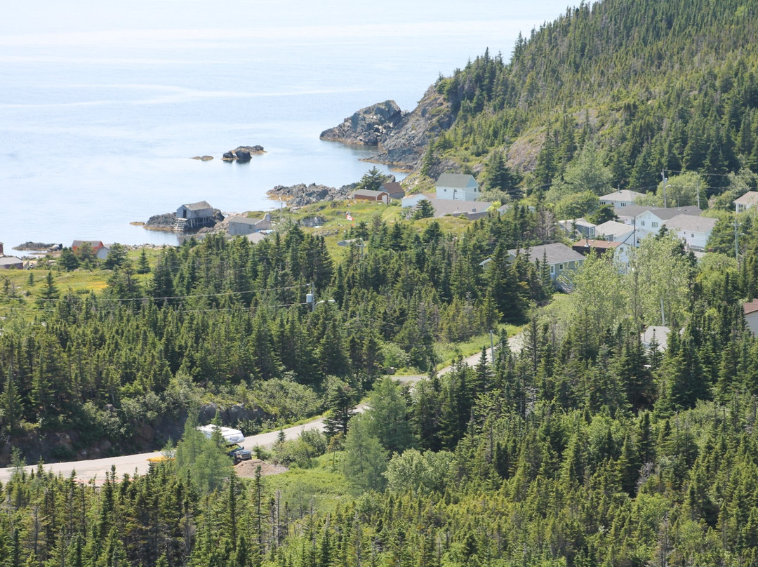 Top of Twillingate Trail景点图片