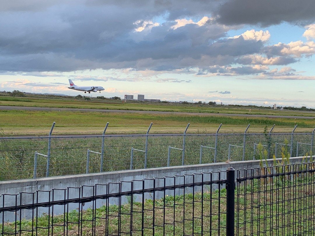 Sendai Airport Rinku Park-岩沼市必去景点