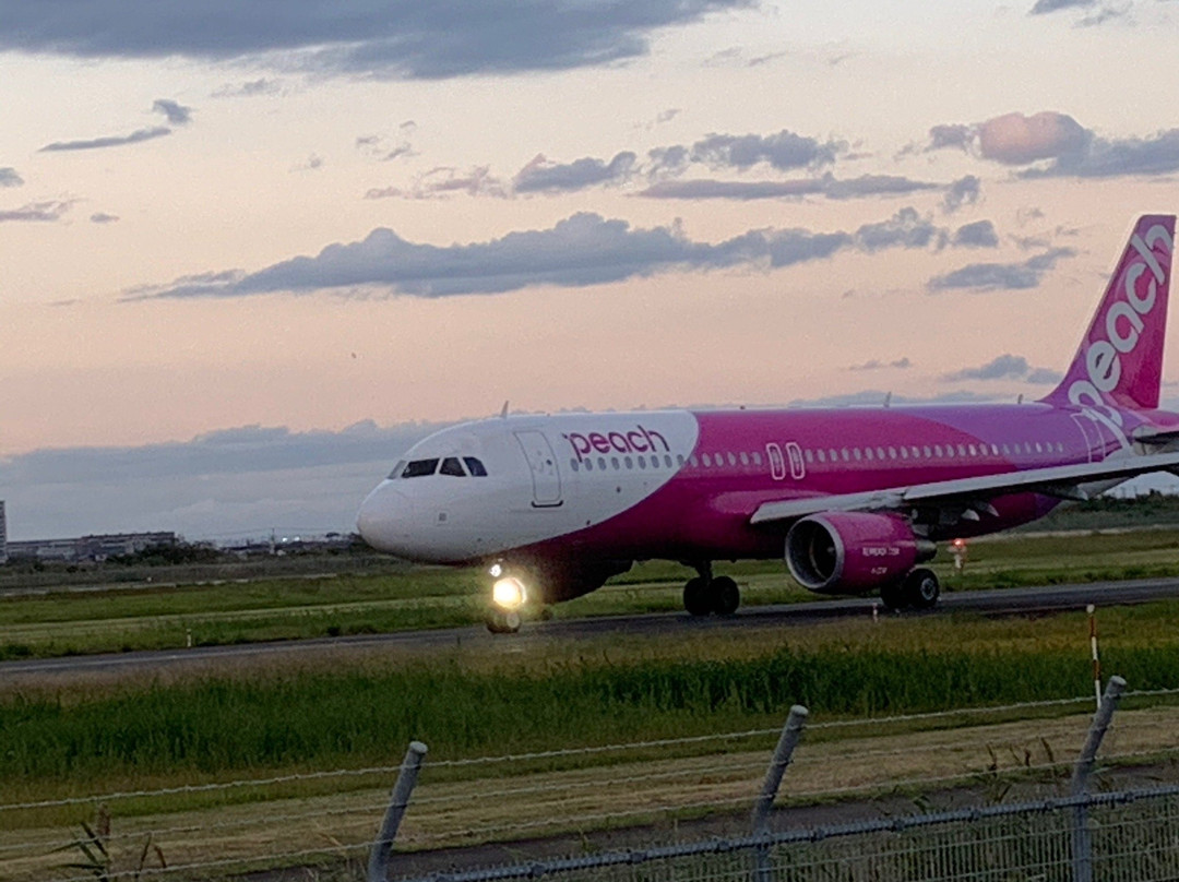 Sendai Airport Rinku Park-岩沼市必去景点