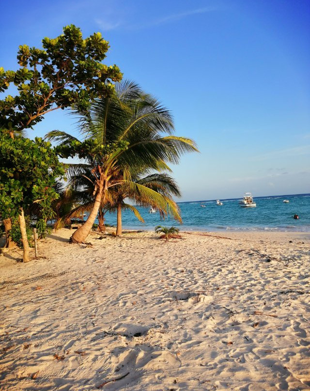 Beach Guest-house Cleverdale主图