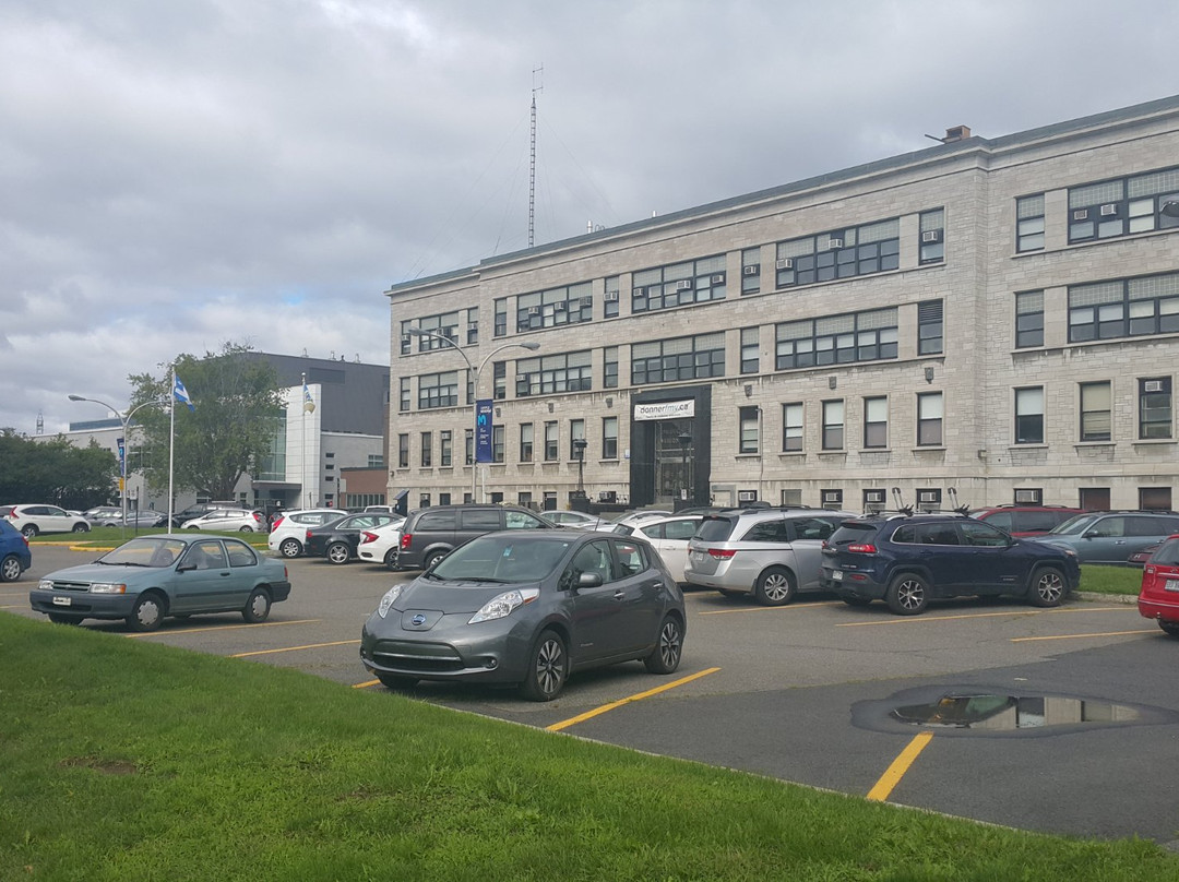 Université de Montréal Faculté de médecine vétérinaire